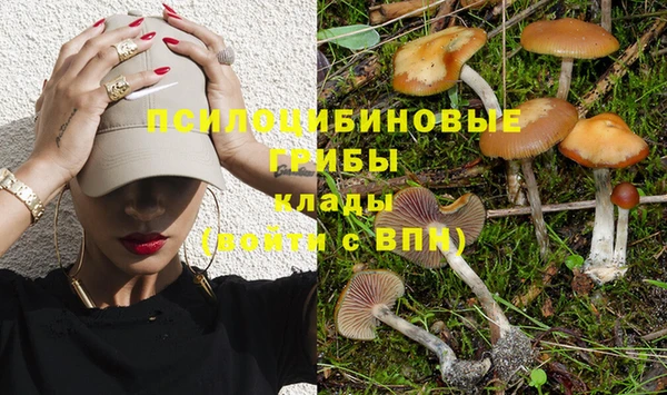 ПСИЛОЦИБИНОВЫЕ ГРИБЫ Баксан
