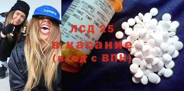 спиды Аркадак