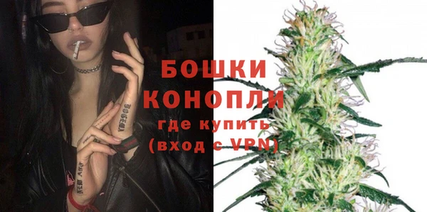 ПСИЛОЦИБИНОВЫЕ ГРИБЫ Баксан