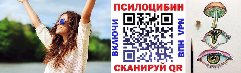Псилоцибиновые грибы Cubensis  KRAKEN вход  Камешково 